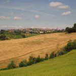 Campagna di Siena