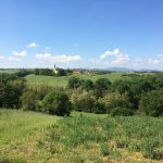 via-francigena-colline-fidenza