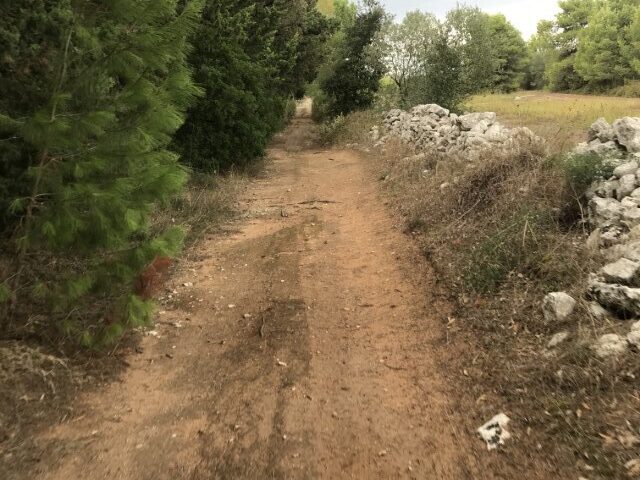 dove compro una camera d'aria per bicicletta a bologna